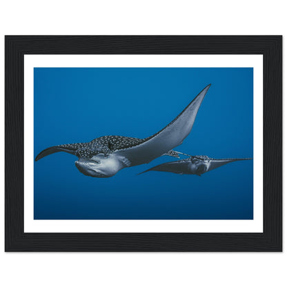 THE FLIGHT OF SPOTTED EAGLE RAYS - WOODEN FRAME